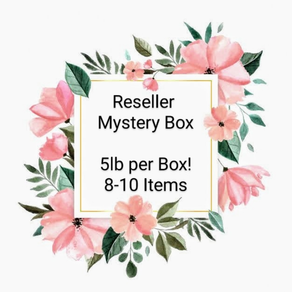 Reseller Mystery Box 5lb 8-10 items mens or womens